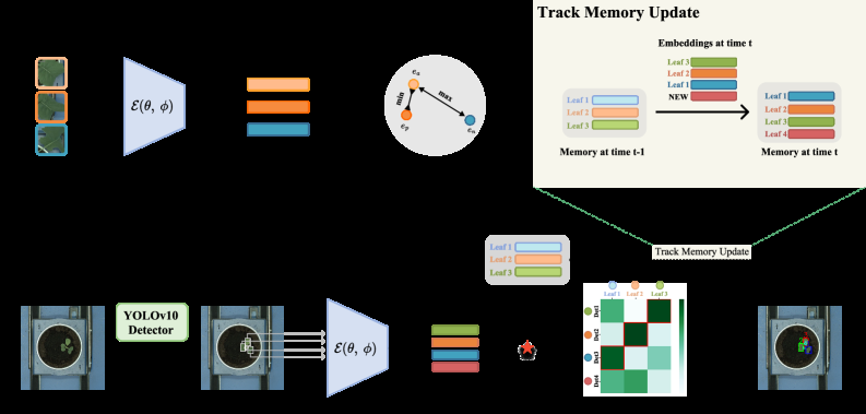 LeafTrackNet框架概览