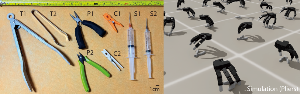 实验物体和仿真环境