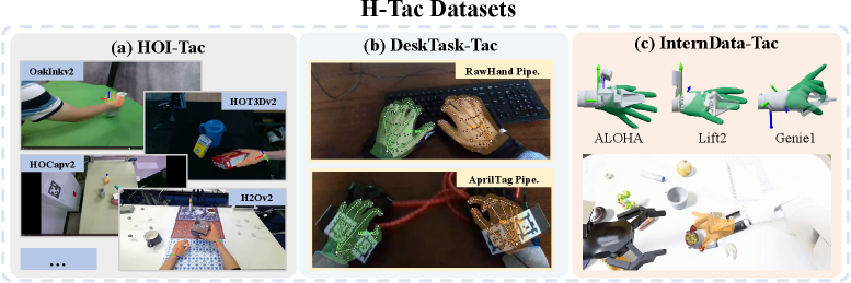 H-Tac数据集